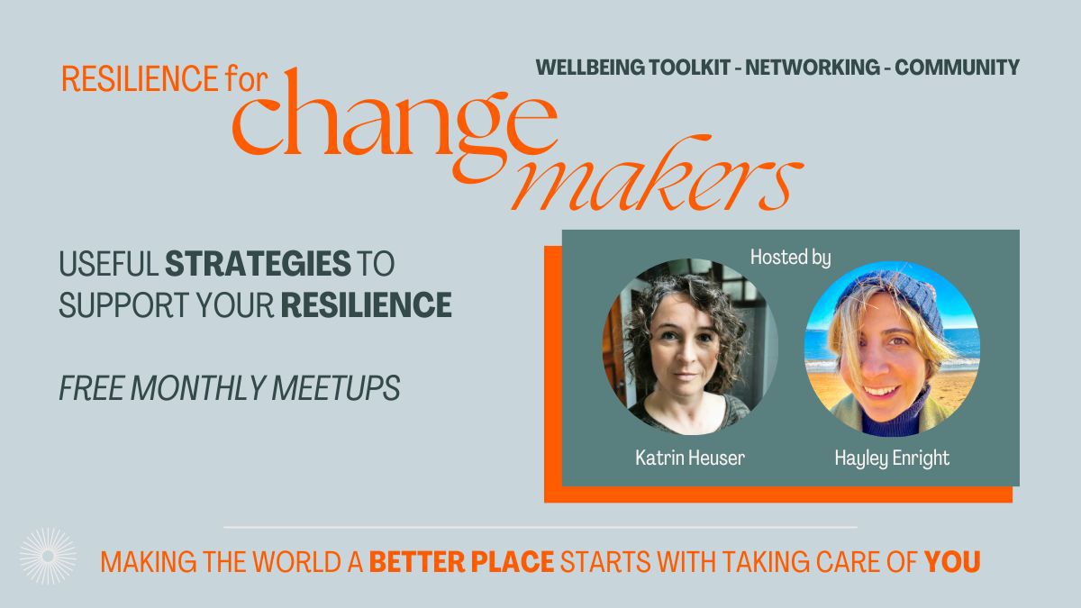Resilience for Change Makers promo Picture